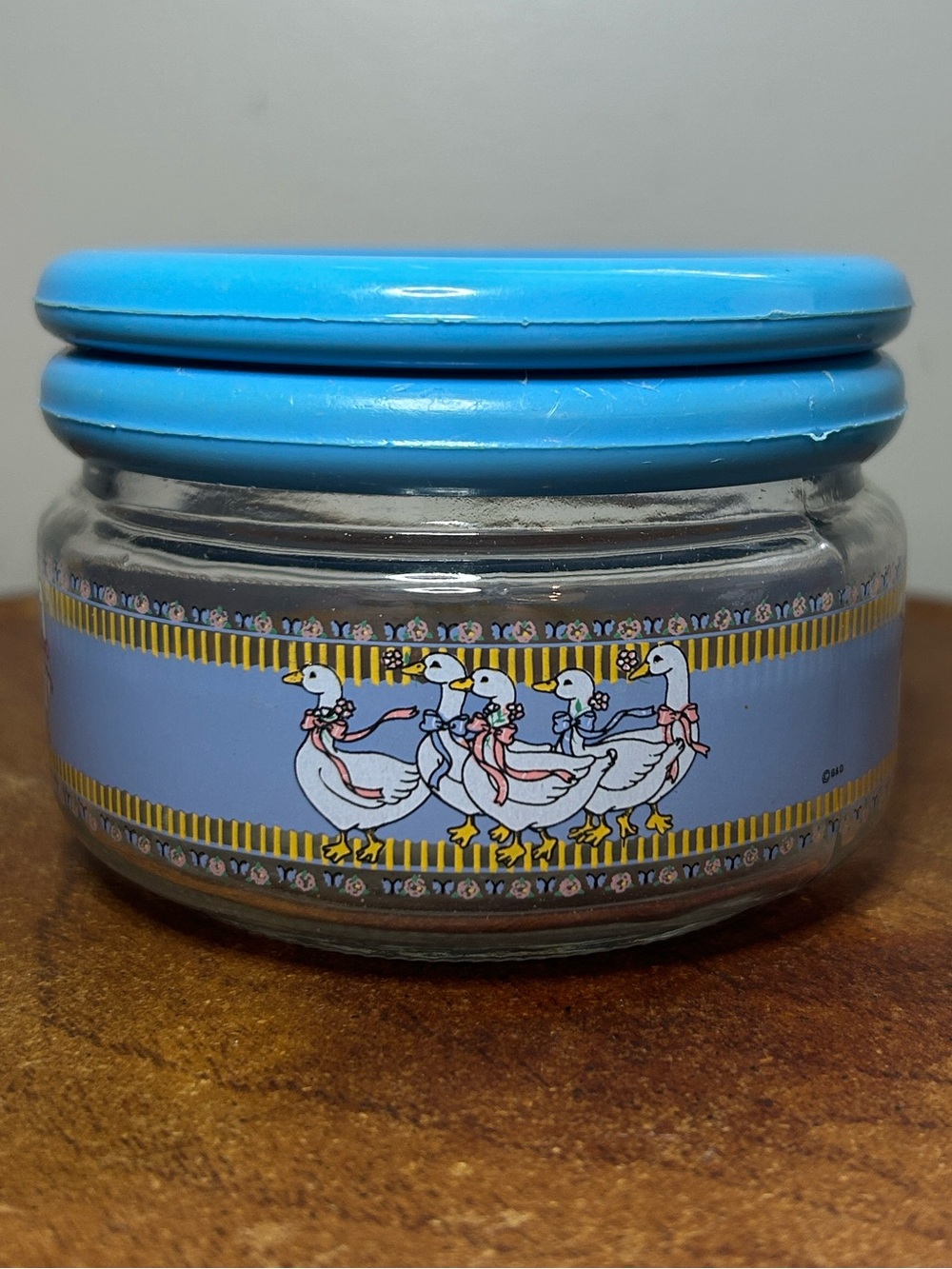 Vintage Goose Design Glass Storage Jar Blue Plastic Screw Lid Cottagecore